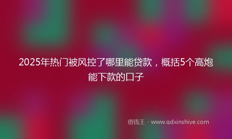 2025年热门被风控了哪里能贷款，概括5个高炮能下款的口子