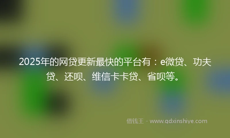 2025年的网贷更新最快的平台有：e微贷、功夫贷、还呗、维信卡卡贷、省呗等。