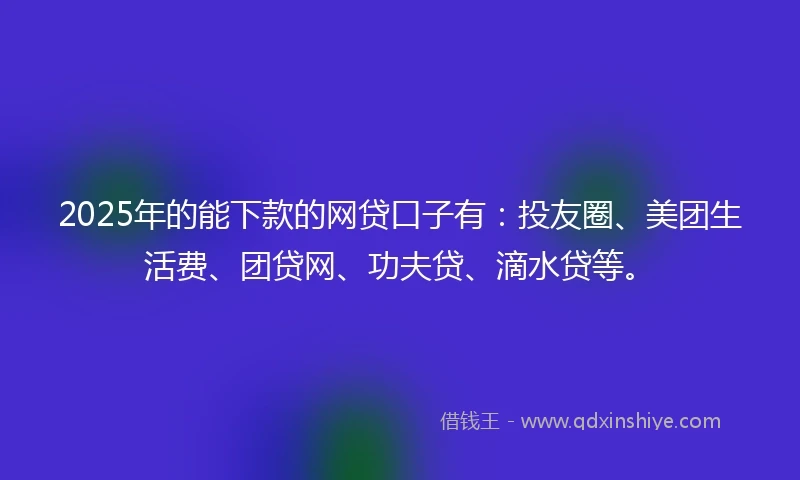 2025年的能下款的网贷口子有：投友圈、美团生活费、团贷网、功夫贷、滴水贷等。