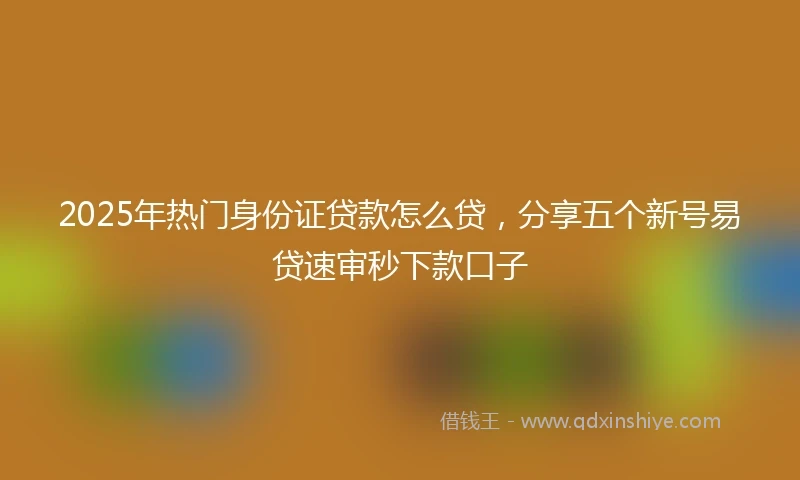 2025年热门身份证贷款怎么贷，分享五个新号易贷速审秒下款口子