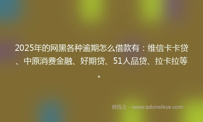 2025年的网黑各种逾期怎么借款有：维信卡卡贷、中原消费金融、好期贷、51人品贷、拉卡拉等。
