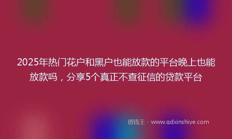 2025年热门花户和黑户也能放款的平台晚上也能放款吗，分享5个真正不查征信的贷款平台