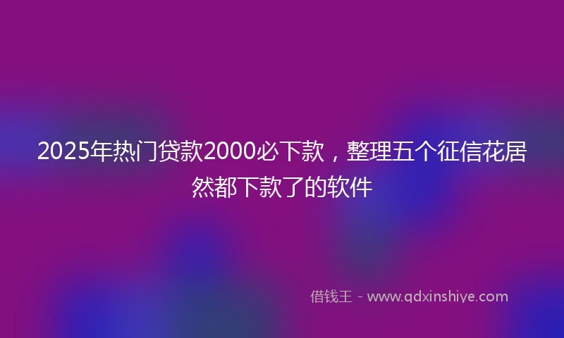 2025年热门贷款2000必下款，整理五个征信花居然都下款了的软件