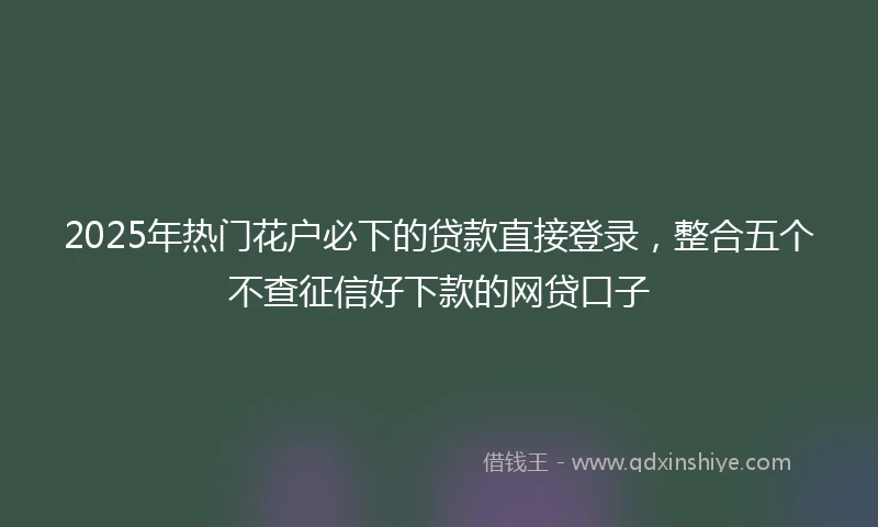 2025年热门花户必下的贷款直接登录，整合五个不查征信好下款的网贷口子
