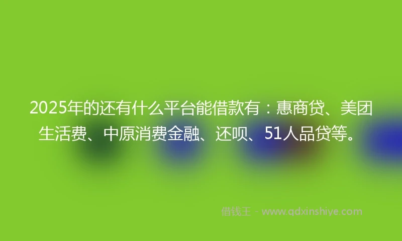 2025年的还有什么平台能借款有：惠商贷、美团生活费、中原消费金融、还呗、51人品贷等。