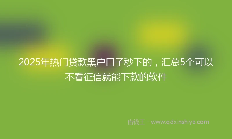 2025年热门贷款黑户口子秒下的，汇总5个可以不看征信就能下款的软件