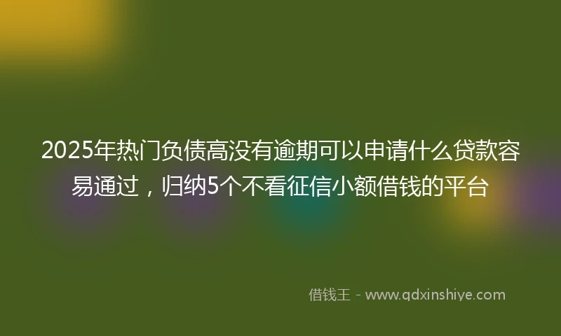 2025年热门负债高没有逾期可以申请什么贷款容易通过，归纳5个不看征信小额借钱的平台