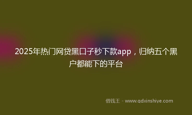 2025年热门网贷黑口子秒下款app，归纳五个黑户都能下的平台