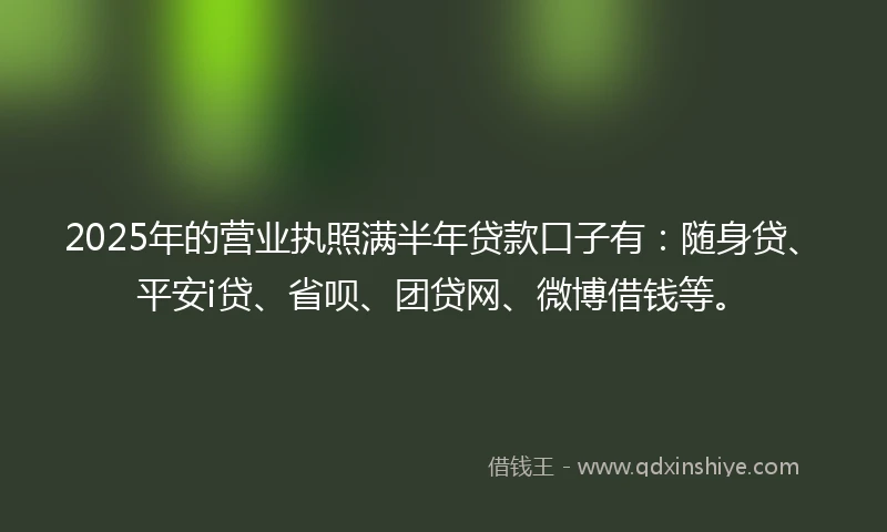 2025年的营业执照满半年贷款口子有：随身贷、平安i贷、省呗、团贷网、微博借钱等。