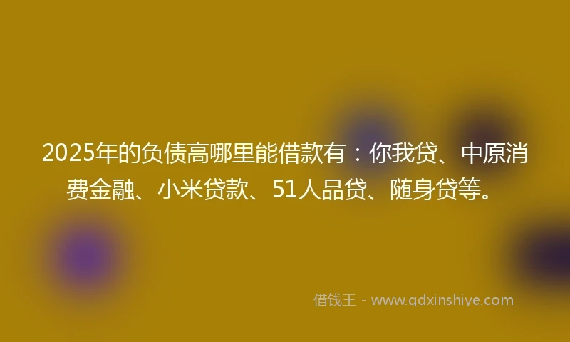 2025年的负债高哪里能借款有：你我贷、中原消费金融、小米贷款、51人品贷、随身贷等。