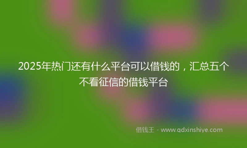 2025年热门还有什么平台可以借钱的，汇总五个不看征信的借钱平台