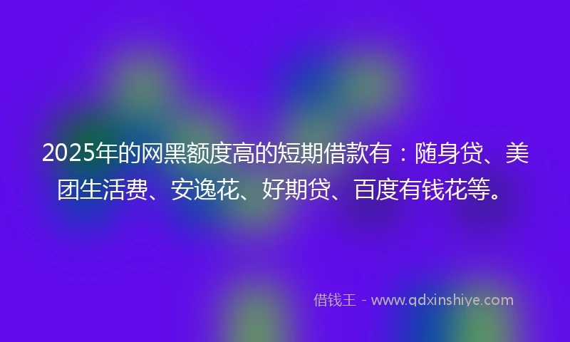 2025年的网黑额度高的短期借款有：随身贷、美团生活费、安逸花、好期贷、百度有钱花等。