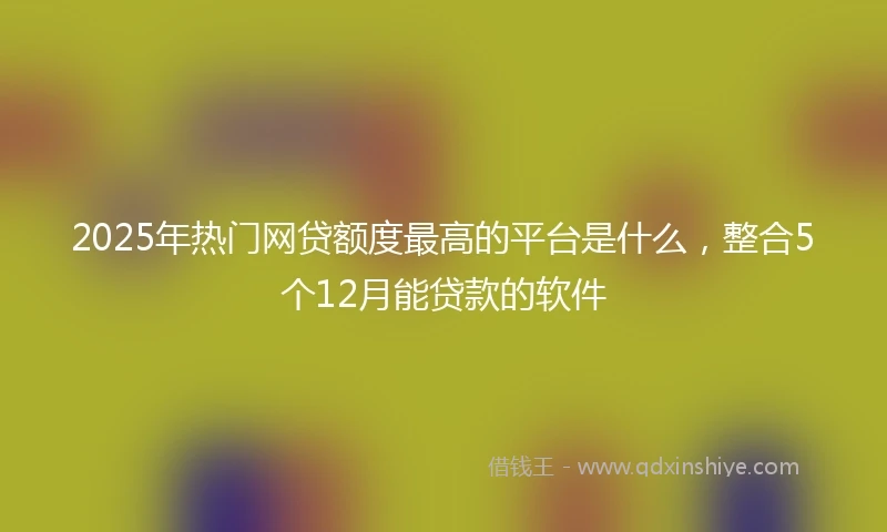 2025年热门网贷额度最高的平台是什么，整合5个12月能贷款的软件