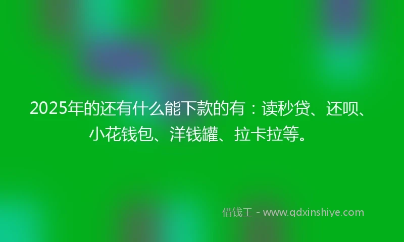 2025年的还有什么能下款的有：读秒贷、还呗、小花钱包、洋钱罐、拉卡拉等。