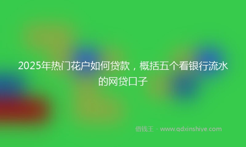 2025年热门花户如何贷款，概括五个看银行流水的网贷口子
