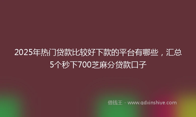 2025年热门贷款比较好下款的平台有哪些，汇总5个秒下700芝麻分贷款口子