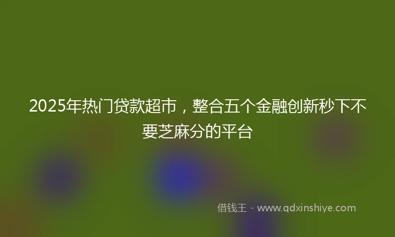 2025年热门贷款超市，整合五个金融创新秒下不要芝麻分的平台