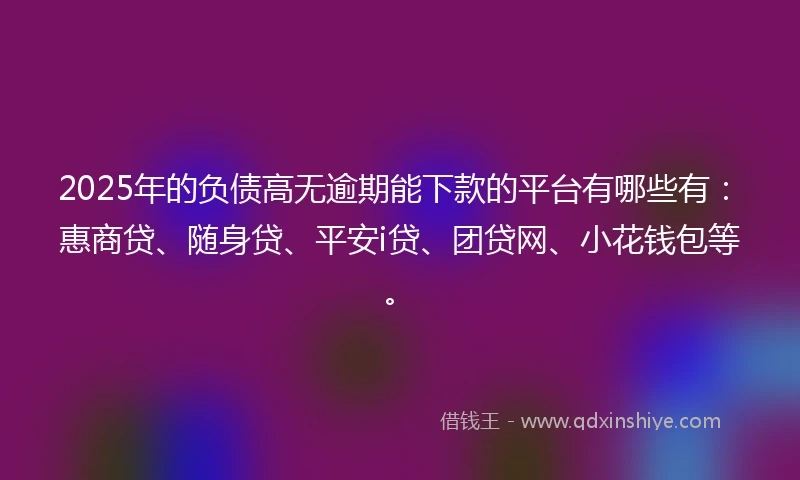 2025年的负债高无逾期能下款的平台有哪些有：惠商贷、随身贷、平安i贷、团贷网、小花钱包等。