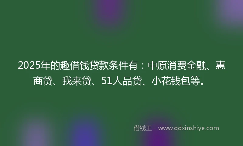 2025年的趣借钱贷款条件有:中原消费金融、惠商贷、我来贷、51人品贷、小花钱包等。