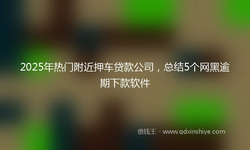 2025年热门附近押车贷款公司，总结5个网黑逾期下款软件