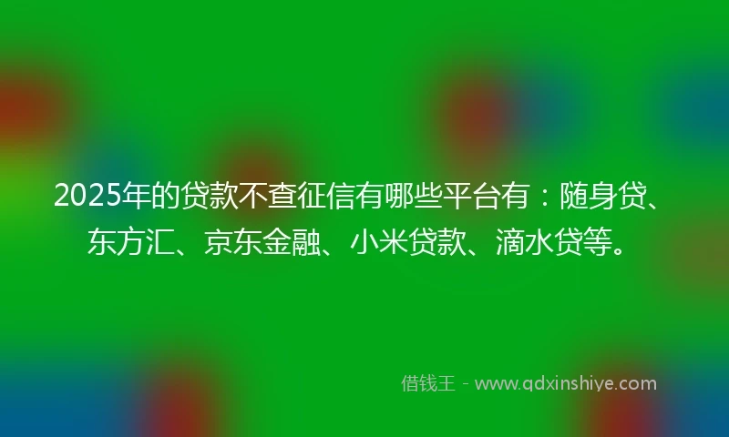 2025年的贷款不查征信有哪些平台有：随身贷、东方汇、京东金融、小米贷款、滴水贷等。