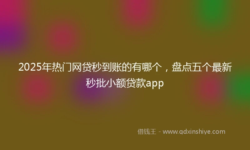 2025年热门网贷秒到账的有哪个，盘点五个最新秒批小额贷款app