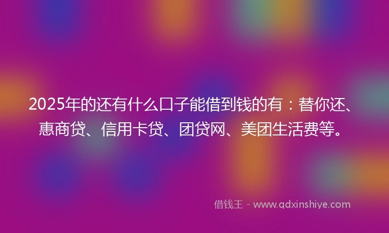 2025年的还有什么口子能借到钱的有：替你还、惠商贷、信用卡贷、团贷网、美团生活费等。