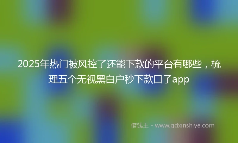 2025年热门被风控了还能下款的平台有哪些，梳理五个无视黑白户秒下款口子app