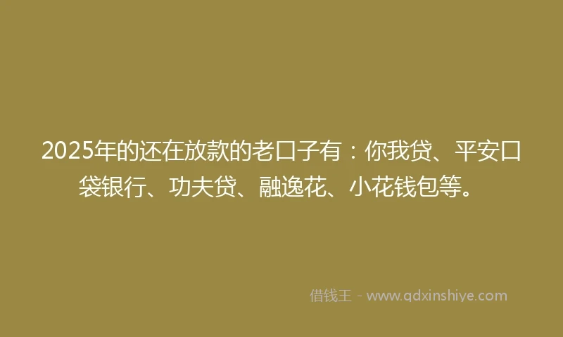 2025年的还在放款的老口子有：你我贷、平安口袋银行、功夫贷、融逸花、小花钱包等。
