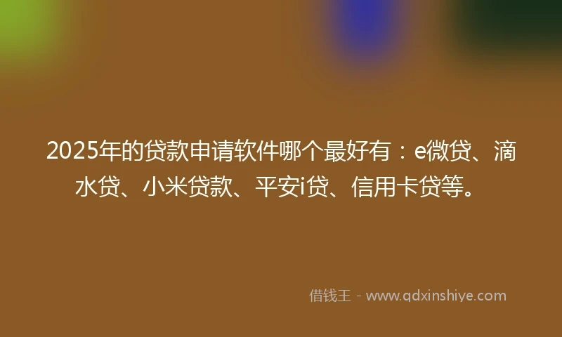 2025年的贷款申请软件哪个最好有：e微贷、滴水贷、小米贷款、平安i贷、信用卡贷等。