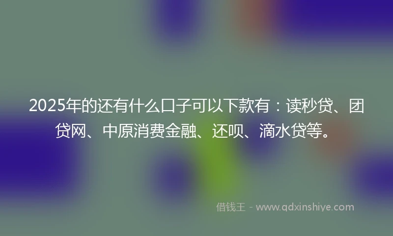 2025年的还有什么口子可以下款有：读秒贷、团贷网、中原消费金融、还呗、滴水贷等。