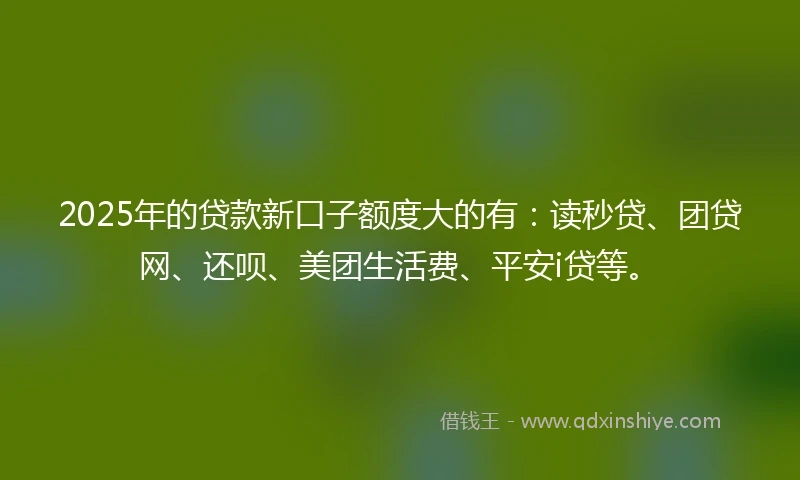 2025年的贷款新口子额度大的有:读秒贷、团贷网、还呗、美团生活费、平安i贷等。
