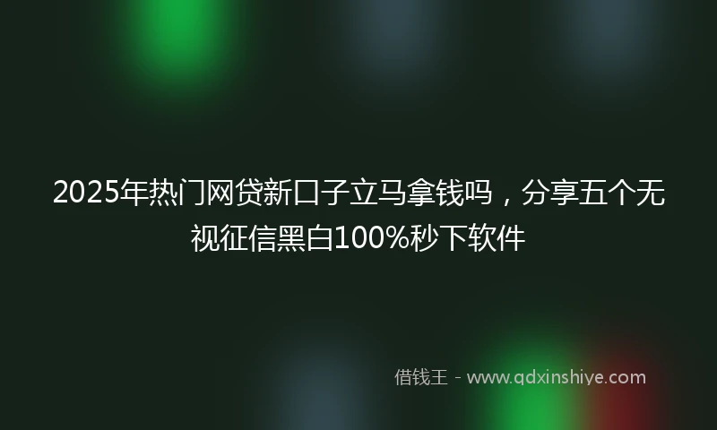 2025年热门网贷新口子立马拿钱吗，分享五个无视征信黑白100%秒下软件