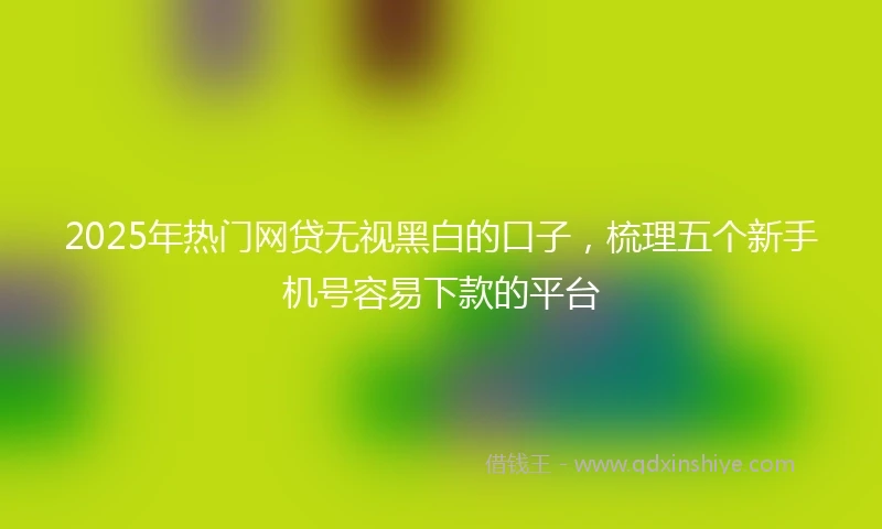 2025年热门网贷无视黑白的口子，梳理五个新手机号容易下款的平台