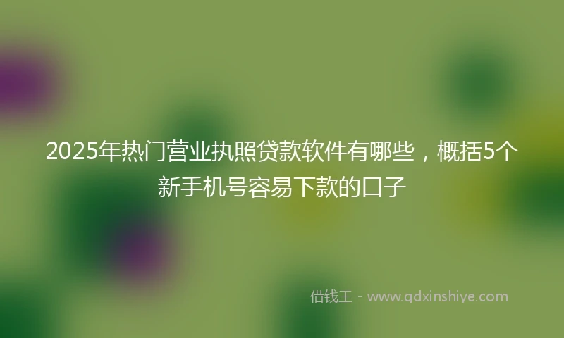 2025年热门营业执照贷款软件有哪些，概括5个新手机号容易下款的口子