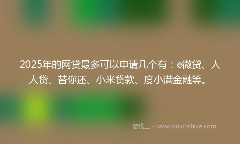 2025年的网贷最多可以申请几个有：e微贷、人人贷、替你还、小米贷款、度小满金融等。