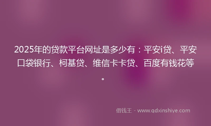 2025年的贷款平台网址是多少有：平安i贷、平安口袋银行、柯基贷、维信卡卡贷、百度有钱花等。