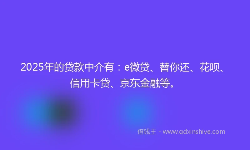 2025年的贷款中介有：e微贷、替你还、花呗、信用卡贷、京东金融等。