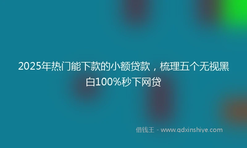 2025年热门能下款的小额贷款，梳理五个无视黑白100%秒下网贷
