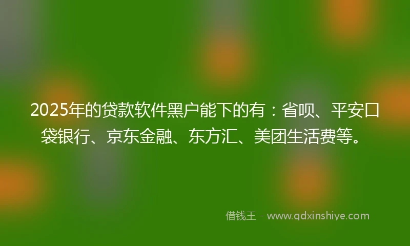 2025年的贷款软件黑户能下的有：省呗、平安口袋银行、京东金融、东方汇、美团生活费等。