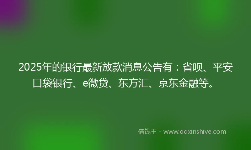 2025年的银行最新放款消息公告有:省呗、平安口袋银行、e微贷、东方汇、京东金融等。