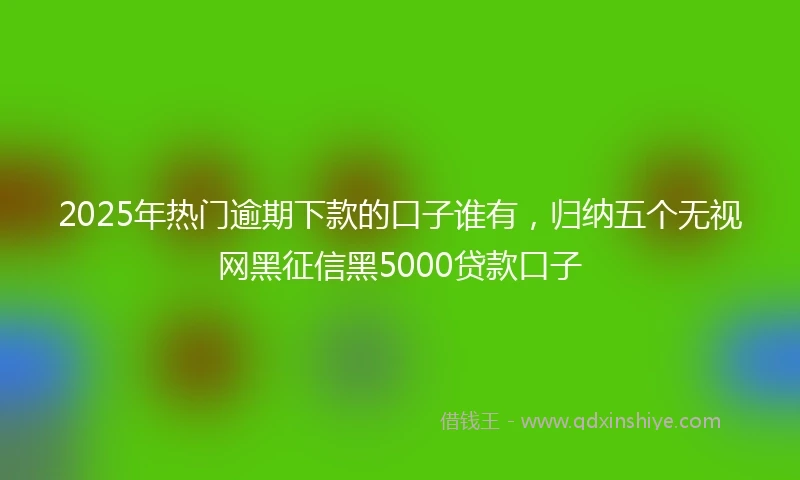 2025年热门逾期下款的口子谁有，归纳五个无视网黑征信黑5000贷款口子