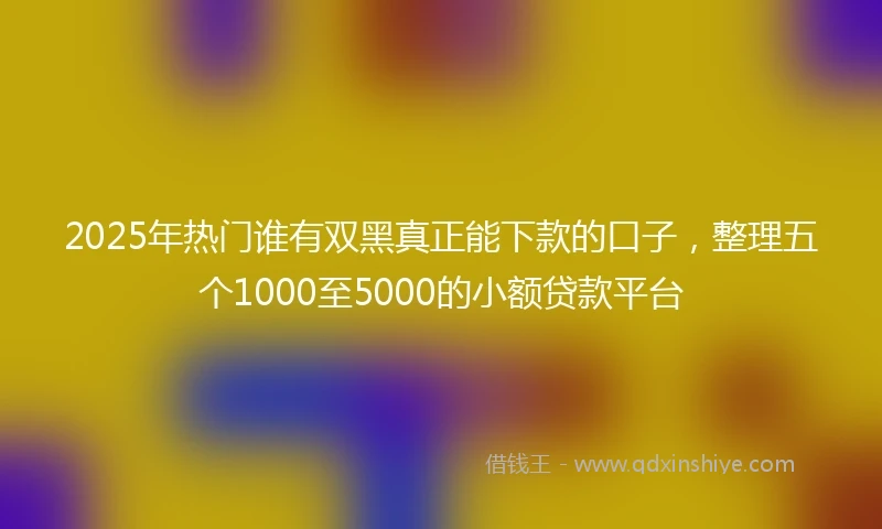 2025年热门谁有双黑真正能下款的口子，整理五个1000至5000的小额贷款平台