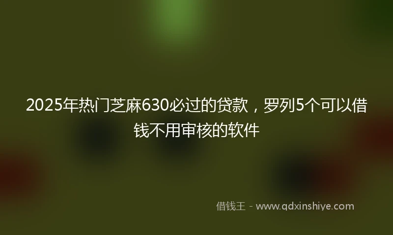 2025年热门芝麻630必过的贷款，罗列5个可以借钱不用审核的软件