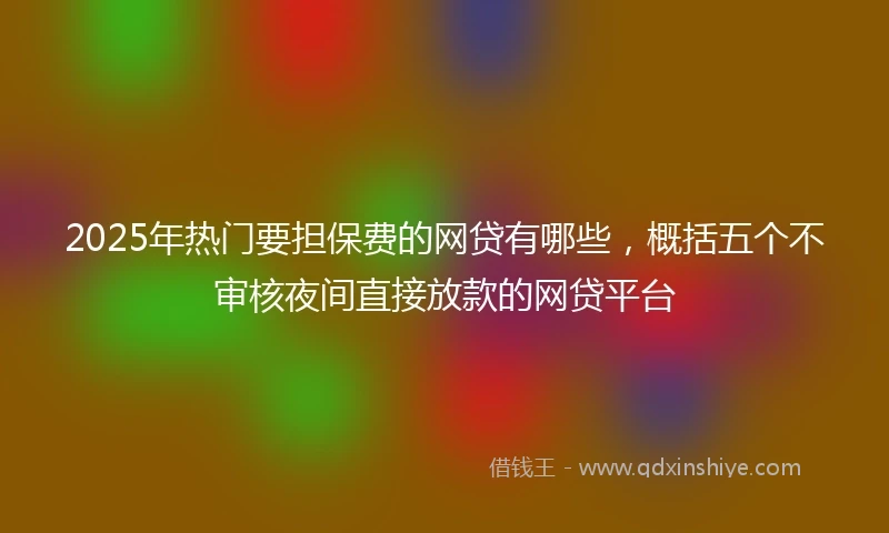 2025年热门要担保费的网贷有哪些，概括五个不审核夜间直接放款的网贷平台
