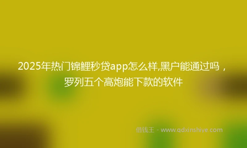 2025年热门锦鲤秒贷app怎么样,黑户能通过吗，罗列五个高炮能下款的软件