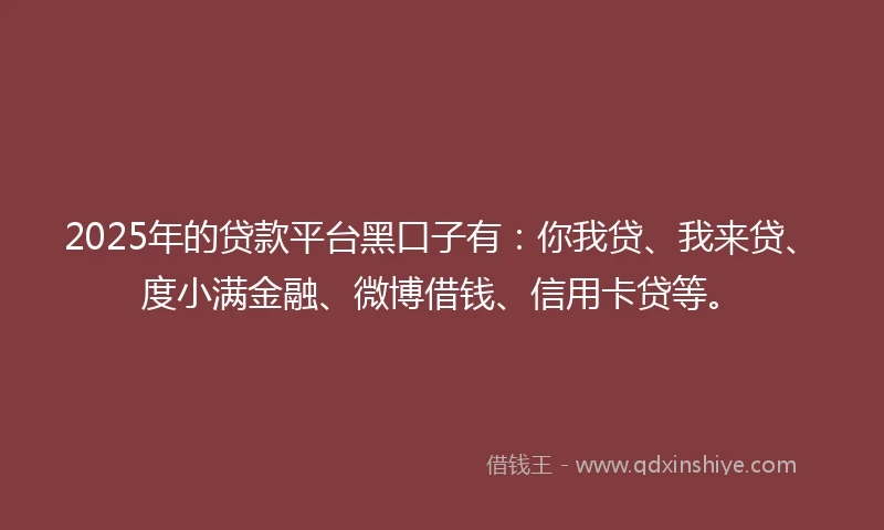 2025年的贷款平台黑口子有：你我贷、我来贷、度小满金融、微博借钱、信用卡贷等。