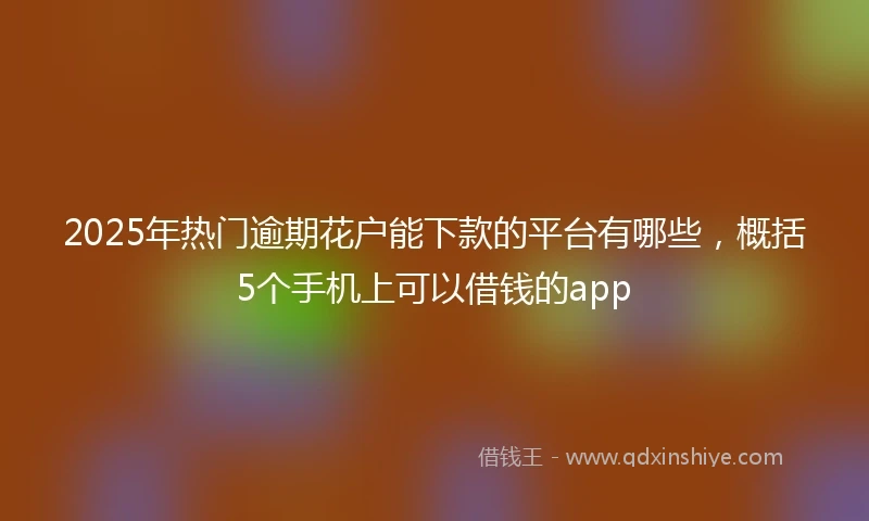 2025年热门逾期花户能下款的平台有哪些，概括5个手机上可以借钱的app