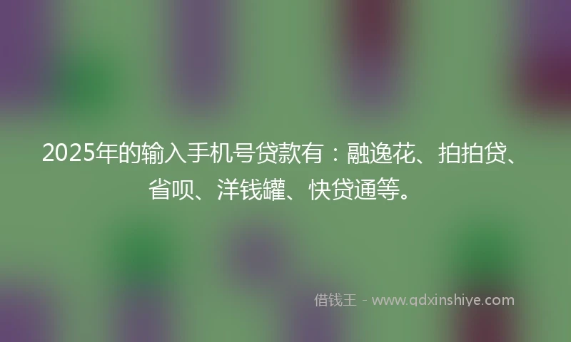 2025年的输入手机号贷款有：融逸花、拍拍贷、省呗、洋钱罐、快贷通等。