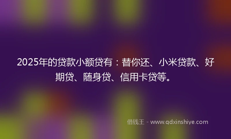 2025年的贷款小额贷有：替你还、小米贷款、好期贷、随身贷、信用卡贷等。